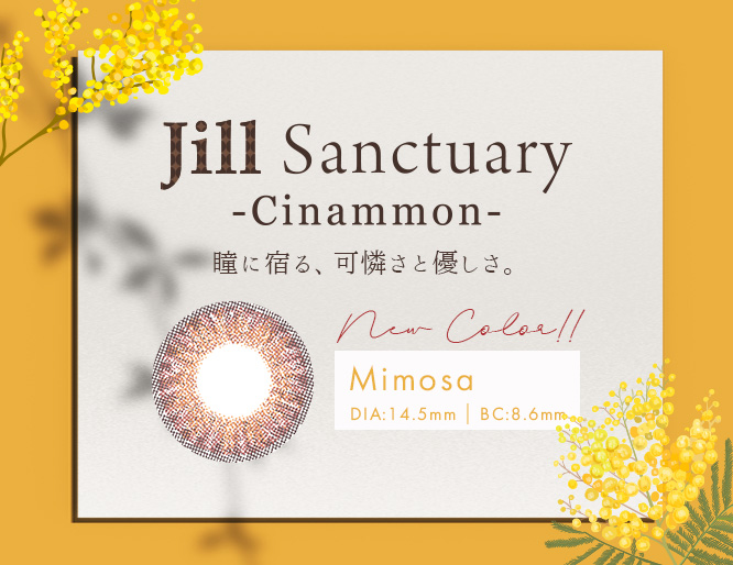 Jill Sanctuary Cinammon Mimosa ブラウン